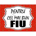 Magneti dedicatie Fiu!